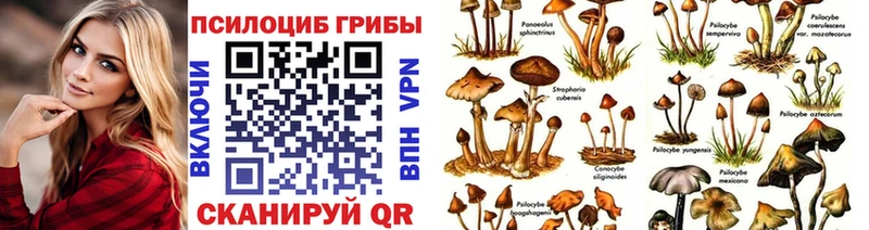 MEGA tor  Троицк  Псилоцибиновые грибы MAGIC MUSHROOMS 